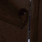 [방탄소년단] 진짜 방탄 부럽ㅠ