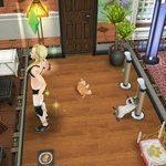 심즈프플 헬스장왔다!!!