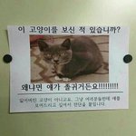 [ㅠㅅ] ㅅㅂ 나 공학이다 제발 썸 좀 <b>타자</b>