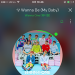 [워너원] 아 나도 쇼콘 가고싶다