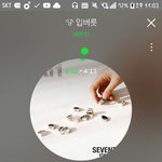[세븐틴] 솔직히 진짜 답답해