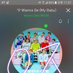 [워너원] 나 솔직히 말해서