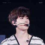 [EXO] 준멘 보고가세훈