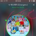 [워너원] 애들 음원차트보고