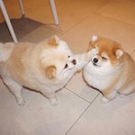 수능 <b>백일</b> 남았다~~ 혹시 힘이 될 말들 부탇해도 될까?