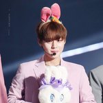 [박지훈] 광탈당한 수니는 오늘 프리뷰보고 <b>폭풍</b>오열ㅠㅠㅠ