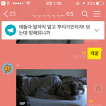 <b>시</b>밬ㅋㅋㅋㅋ야짤글쓰니라고 <b>어</b>그로 끌었다가 야짤파티됨