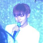 [워너원] 기웃기웃 거리는 아미입니당