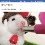 [워너원] ㅅㅂ 햄스터에 홀랑 넘어가브러써