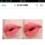 <b>페리</b>페라 틴트추반좀