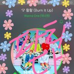 [워너원] 오늘 애들도 우리도 파티다~~