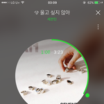 [세븐틴] 제발 개인행동 삼가하자