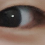 쌍수 추반좀