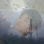 <b>보보</b>경심 정주행 하고있는데