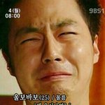 <b>내방</b>에 자꾸 말벌들어와 ㅋㅋ미치겠다