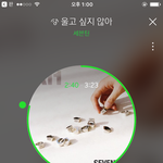 [세븐틴] 우린 사과<b>요청</b>글을 올리는거니까