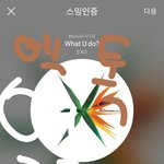 [EXO] 수록곡 떨어지는것봐선 <b>입스</b>밍 조온나 많다는겨