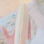 찰옥<b>수수</b> 아이스크림 ㅈㄴ작아짐 ㅜㅜ