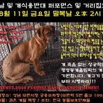 [시민행진] 8월 11일 오후 2시 <b>복날</b> 및 개식용반대 퍼포먼스 및...