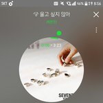 [세븐틴] 니네 지금 뭐하는거야?