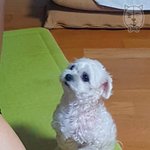 [댓글부탁해] 화요일에서  수요일로 넘어가는 <b>자정</b>이