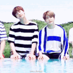 [방탄소년단] 본보) 전정국 성격