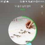 [세븐틴] 1년 반만 버티자