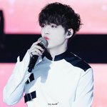 [세븐틴] 나도나도