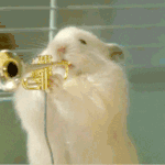 [세븐틴] 워후~~~~~