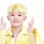 [세븐틴] ㅅㄷ <b>캐럿들</b> 고마워!