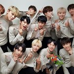 [세븐틴] <b>캐럿</b>들사랑해 (*´˘`*)