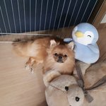 [재범이] 데일리 재범이