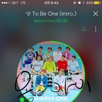 [워너원] 나 어제 배진영 귀여워 뒈지는 줄