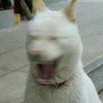 [19] <b>첨보</b>는 남자애랑