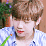 [강다니엘] 얘들아 진짜 워너원<b>팬</b>톡 <b>올</b> 생각없어?