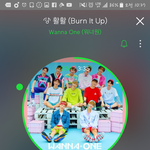 [워너원] 솔직히 윙녤팬들