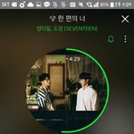 [세븐틴] 53위니까 올리는것 밖에 없어