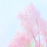 [조언부탁해] 너희라면 어떻게 할거야?