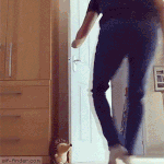 아 이거 너무 귀여워 댕리둥절ㅠㅠㅠㅠㅠㅠㅠㅠ