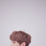 [강다니엘] ㅅㄷ <b>이사</b>왔어