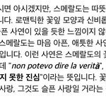 [방탄소년단] <b>스메랄</b>도 꽃말이랭