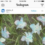 [방탄소년단] 나 궁금한거 있는데