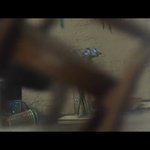 [방탄소년단] 헐그래??파랑장미야??