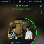 [세븐틴] <b>캐럿</b>들 공카 부늬기