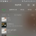 [세븐틴] 캐로<b>시들</b>이랑