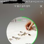 [세븐틴] 음 ......