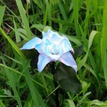 [방탄소년단] 솔직히 빅힛 빅<b>피쳐</b> 언제부터일것같아?