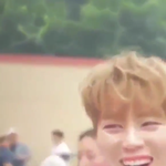 [박우진] 우리<b>참새</b>좀보세요!