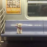 [ㅋㅋㅋㅋㅋ] <b>일본</b>야동 극혐인 거 ㅋㅋ..