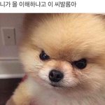 니가 몰 이해하냐고 <b>CB</b>놈아